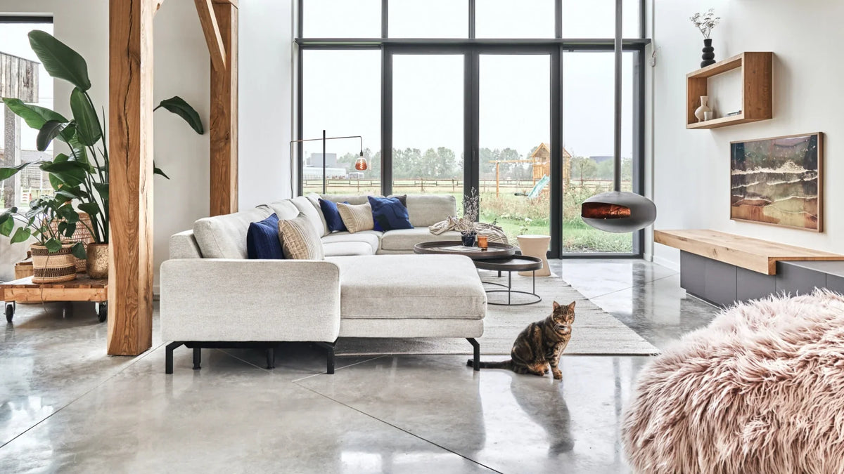 Hoe maak je je woning huisdiervriendelijk?