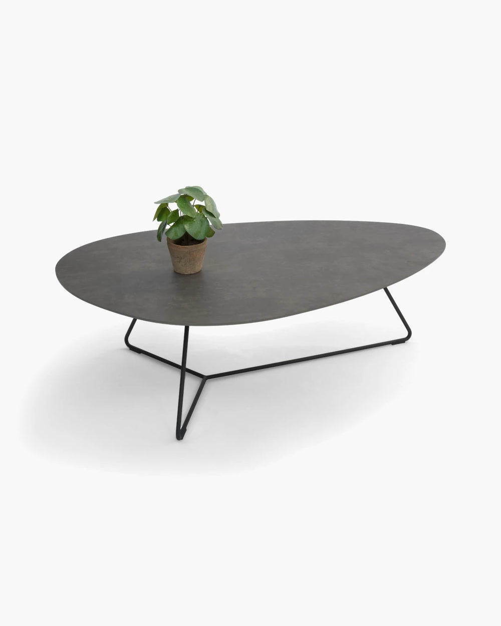 Salontafel Twinny van Bree's New World