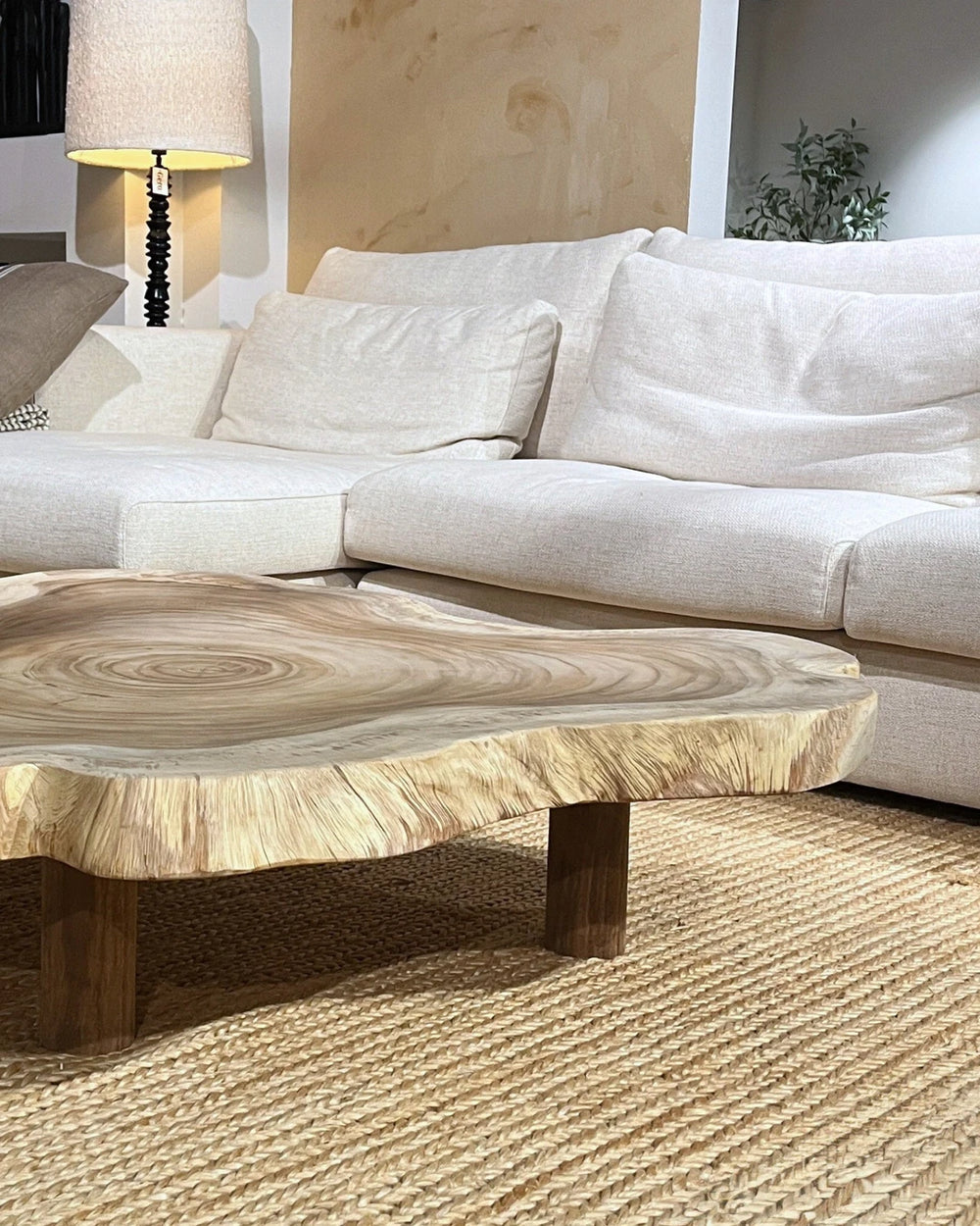 Boomstam salontafel