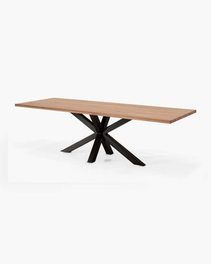 Eettafel Abely 260 cm van William Winston, foto 3 van 6