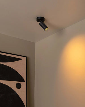 Plafondlamp Clubs 1 spot van Lucide, foto 3 van 7