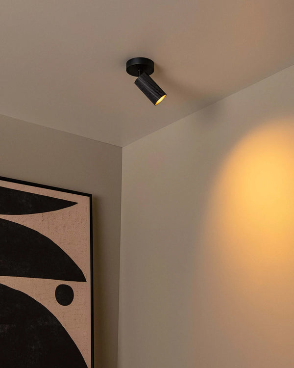 Plafondlamp Clubs 1 spot van Lucide, foto 3 van 7