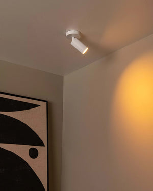 Plafondlamp Clubs 1 spot van Lucide, foto 7 van 7