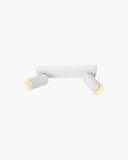Plafondlamp Clubs 2 spots van Lucide