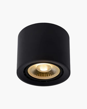 Plafondlamp Fedler rond van Lucide