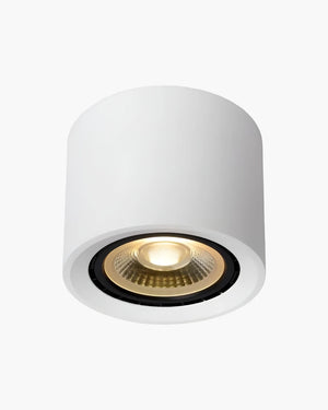 Plafondlamp Fedler rond van Lucide, foto 4 van 6