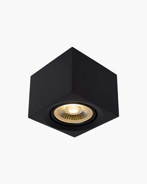 Plafondlamp Fedler vierkant van Lucide