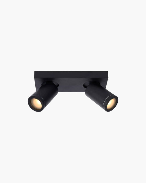Plafondlamp Taylor met 2 spots van Lucide