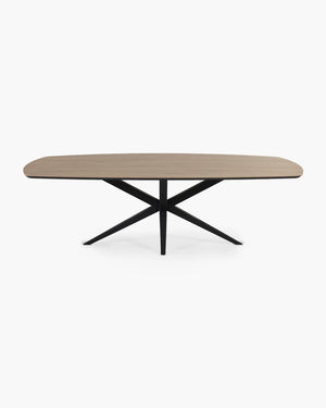 Ovale eettafel 250x128 cm in zwart metaal