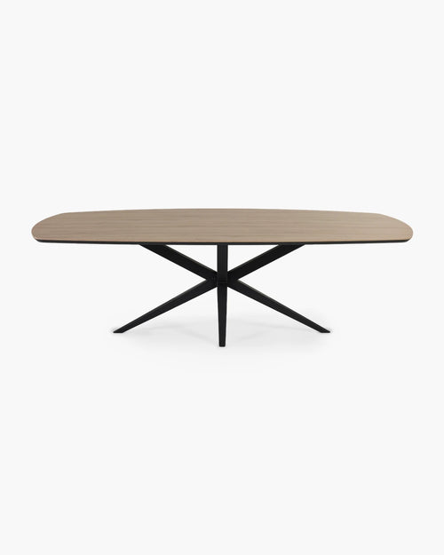 Ovale eettafel 250x128 cm in zwart metaal