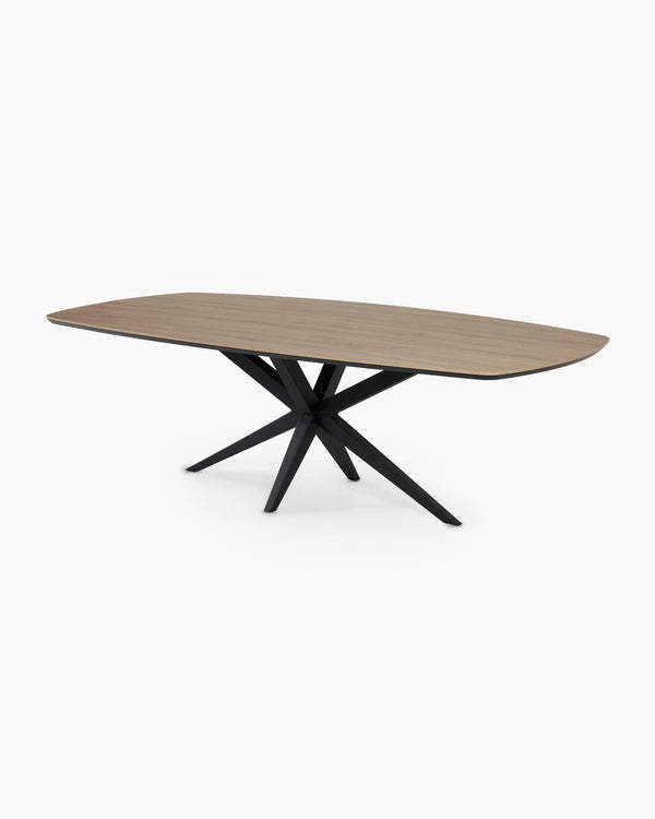Ovale eettafel 250x128 cm, foto 2 van 6