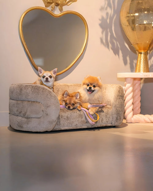 Hondenbed Bingo van Richmond Interiors in taupe stof