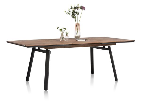 Verlengbare tafel Hamstad 160/220x100 cm