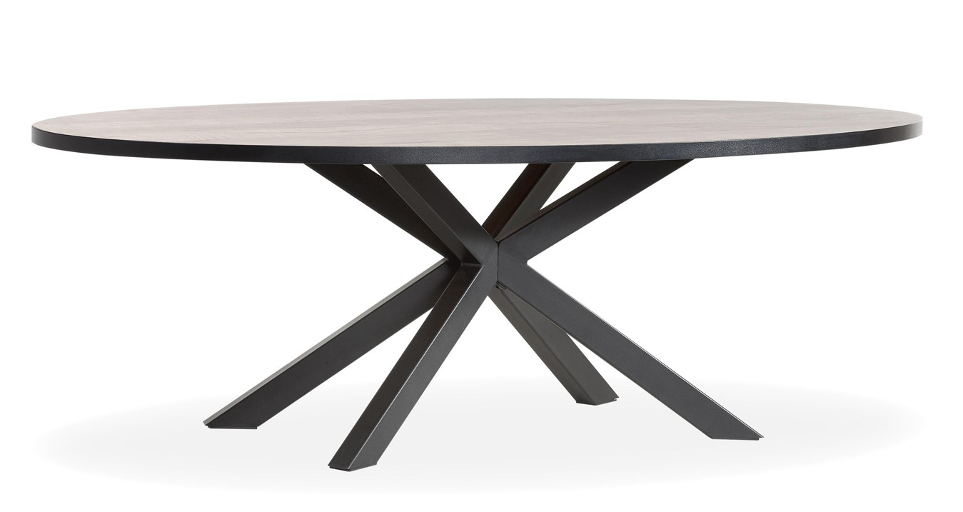 Ovale tafel 250 x 128cm | M015-SCA-1001 Gero