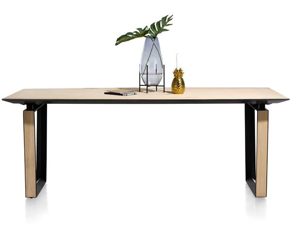 Eettafel Darwin 210x100 cm