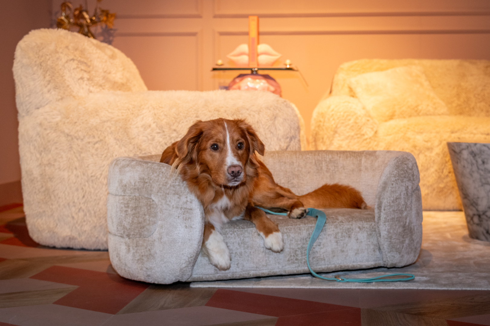 Hondenbed Bingo - taupe chenille