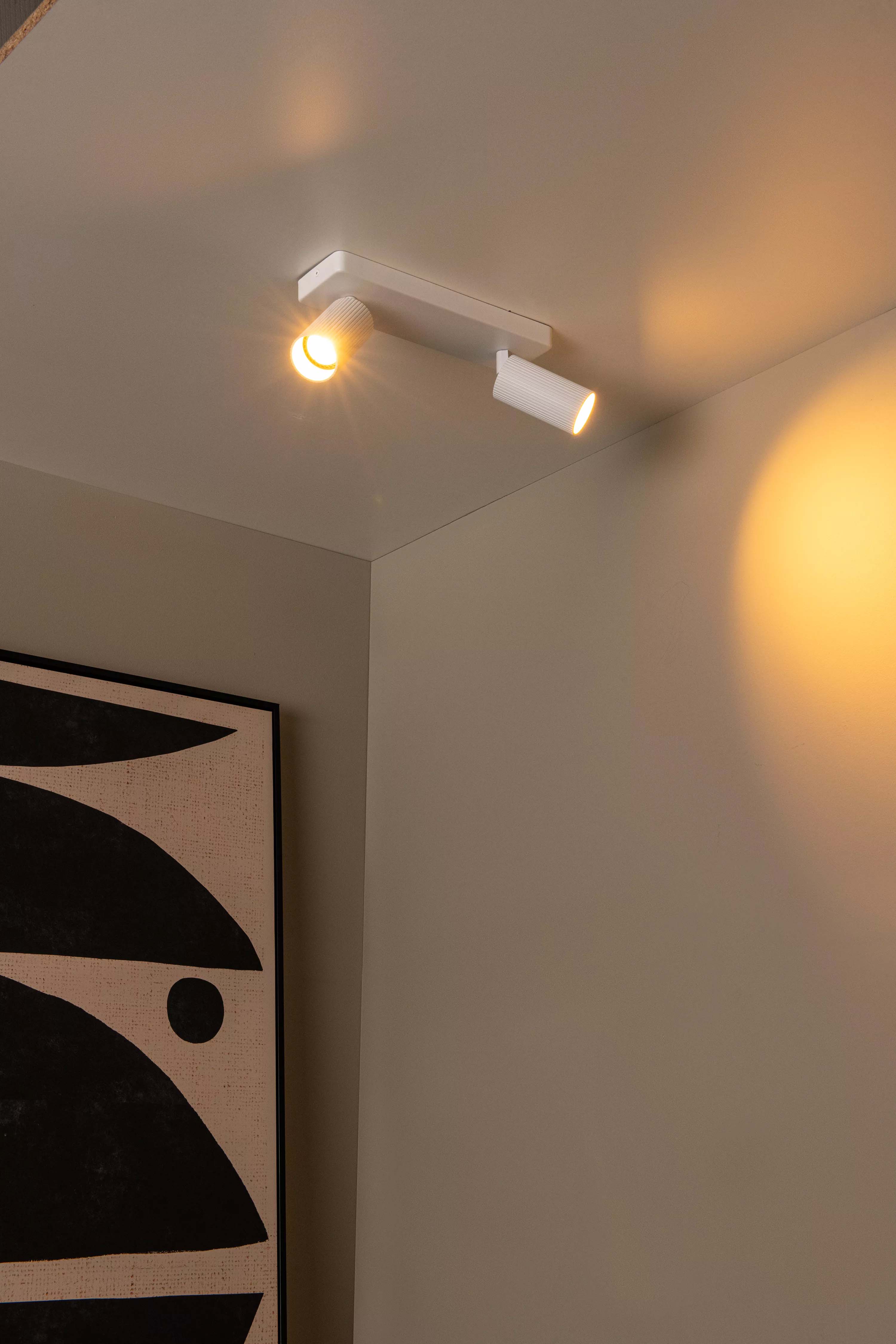 Plafondspot (excl.lamp) Clubs 2xGU10 - wit